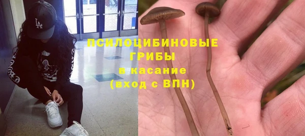 СК Инта