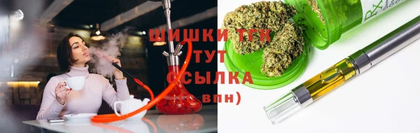 СК Инта