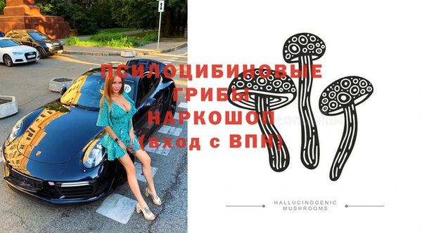MESCALINE Инсар