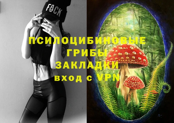 MESCALINE Инсар