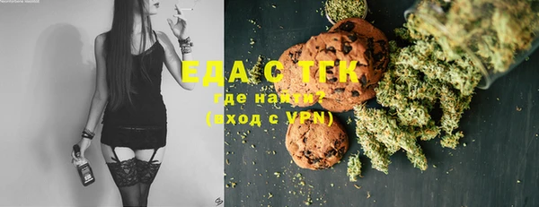 СК Инта